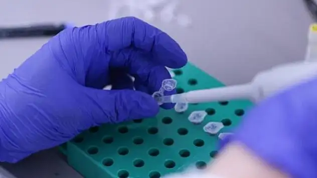 Bakan Varank: VLP aşı çalışmamızda önemli bir aşamaya geldik