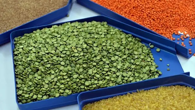 Hububat ve bakliyat sektöründe ihracat ilk defa 7 milyar doları aştı