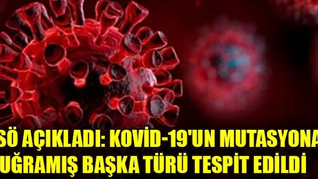 DSÖ açıkladı: Kovid-19'un mutasyona uğramış başka türü tespit edildi