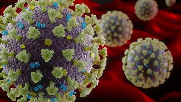 Koronavirüse karşı bağışıklığı korumanın yolları