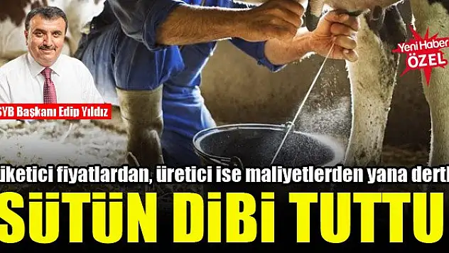 Sütte tüketici fiyatlardan, üretici ise maliyetlerden yana dertli