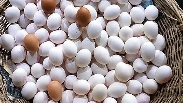 Bu yumurta 20 liradan alıcı buluyor