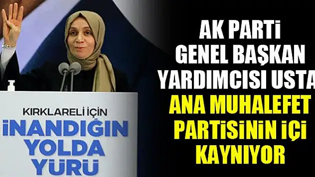 AK Parti Genel Başkan Yardımcısı Usta: Ana muhalefet partisinin içi kaynıyor