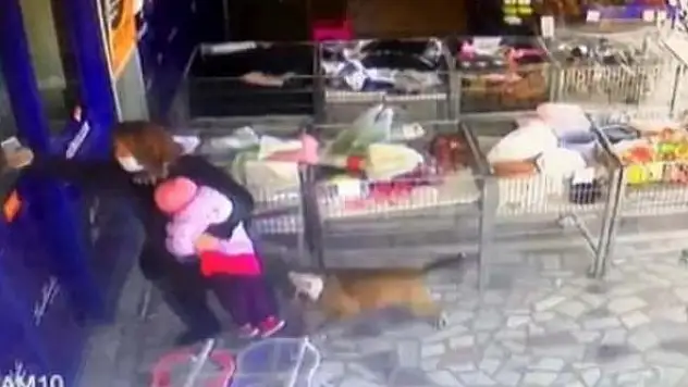 Pitbull dehşeti: 2,5 yaşındaki çocuğa saldırdı