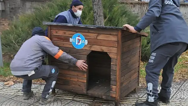 MEDAŞ'tan kedi ve köpekler için kulübe