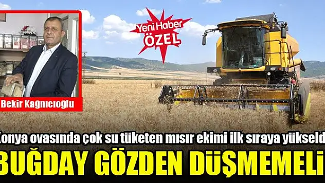 Yeniden buğdaya yönelmek gerek!