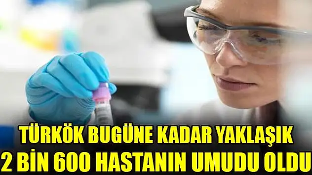 TÜRKÖK bugüne kadar yaklaşık 2 bin 600 hastanın umudu oldu