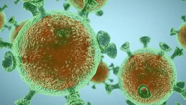 Kuzey Makedonya'da mutasyona uğrayan virüs görüldü