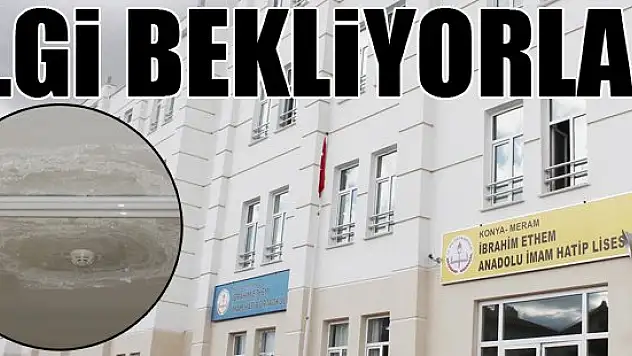 İlgi bekliyorlar