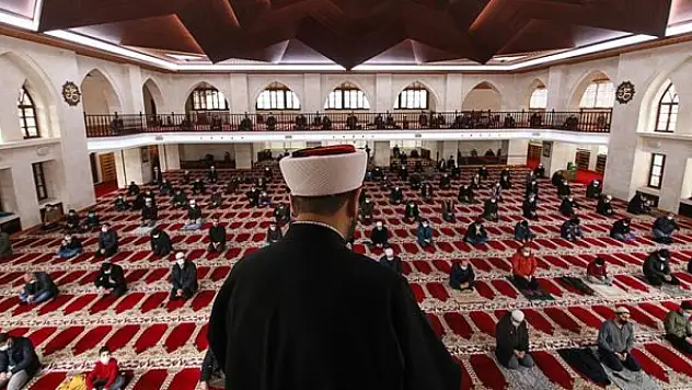 'Her hayvan Allah'ın eseridir ve insanoğluna emanettir'
