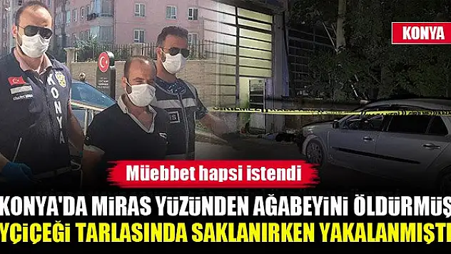 Konya'da miras yüzünden ağabeyini öldürmüş, tarlada saklanırken yakalanmıştı...Müebbet hapsi istendi