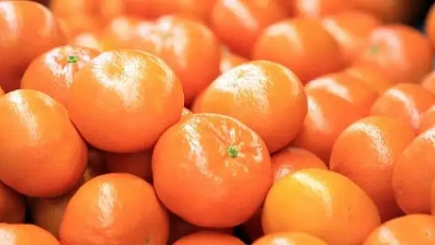 Ocakta en çok mandalinanın fiyatı arttı