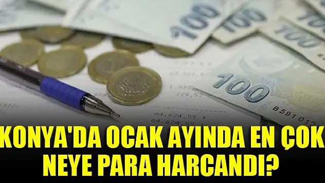 Konya'da Ocak ayında en çok neye para harcandı?