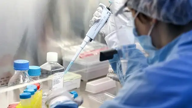 Uzmanlara göre yeni tehlike mutasyonlu Kovid-19 virüsü