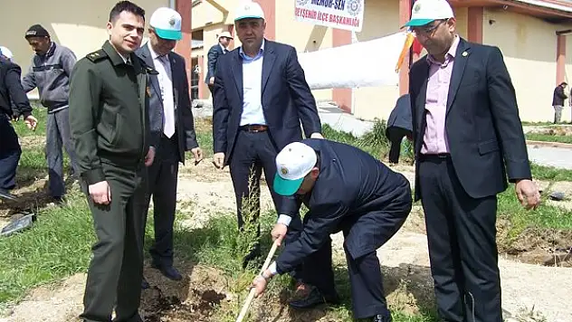 Beyşehir'de ağaçlandırma çalışmaları