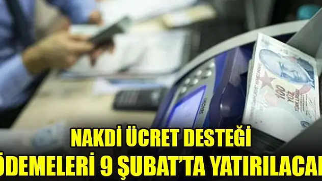 Nakdi Ücret Desteği ödemeleri 9 Şubat'ta yatırılacak
