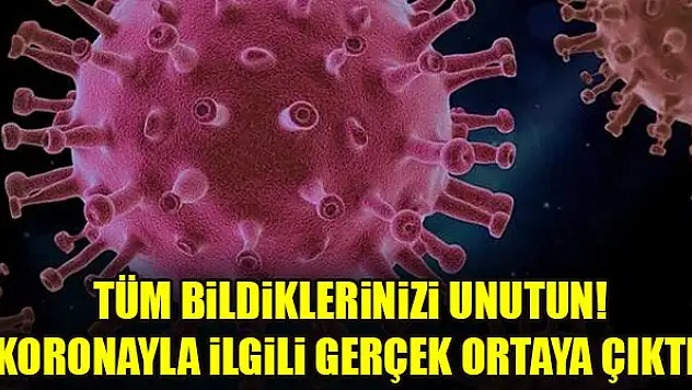 Tüm bildiklerinizi unutun! Koronayla ilgili gerçek ortaya çıktı