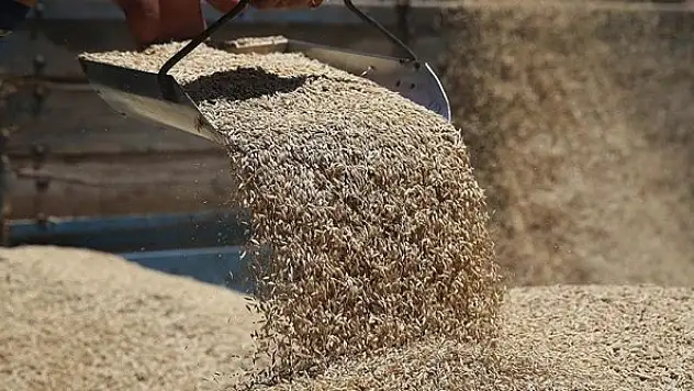 TMO, gıda fiyatlarındaki artışla mücadele için besicilere uygun fiyatlı yem satıyor