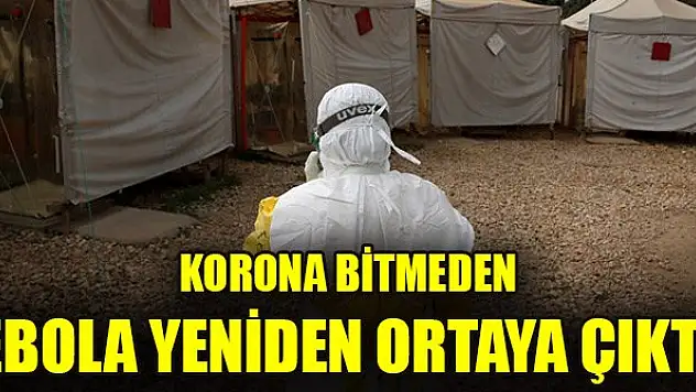 Korona bitmeden ebola yeniden ortaya çıktı