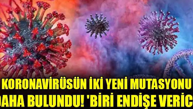 Koronavirüsün iki yeni mutasyonu daha bulundu! 'Biri endişe verici'