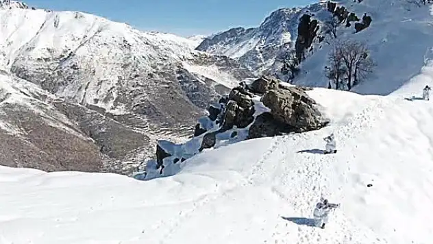 Hakkari'de 'Eren-9 Kazan-Han Yaylası' operasyonu başlatıldı