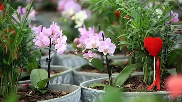 Hafta sonu kısıtlamasına denk gelen Sevgililer Günü için hediyeler erkenden alınacak
