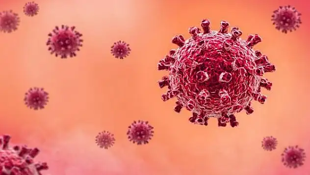 İngiltere'de görülen mutasyonlu virüsün tüm dünyaya yayılacağı düşünülüyor