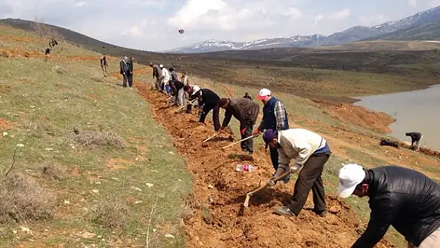Hüyük Göleti'nin çevresine 10 bin sedir fidanı dikildi