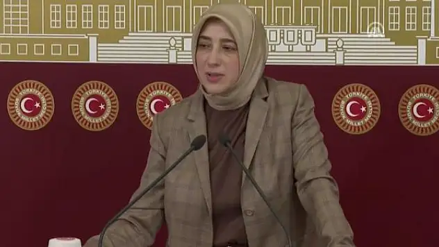 'Milli Savunma Bakanı ve İçişleri Bakanı yarın Genel Kurul'da konuşma yapacak'