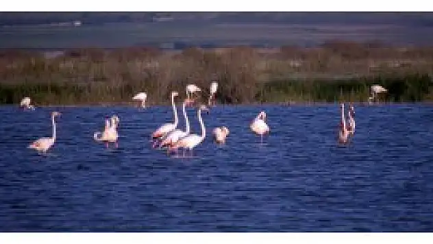 Akgö'lü besleyen su kaynaklarına set çekildi