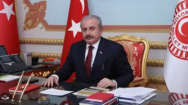 'Milletvekilliği dokunulmazlığının kaldırılmasına ilişkin 33 farklı fezleke Meclis'e geldi'