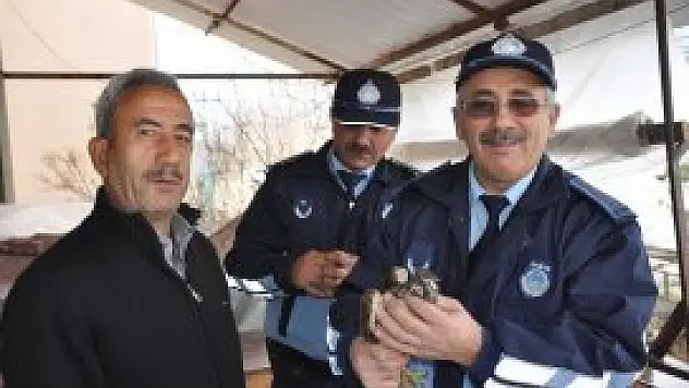 Evinin bahçesinde yaralı şahin buldu