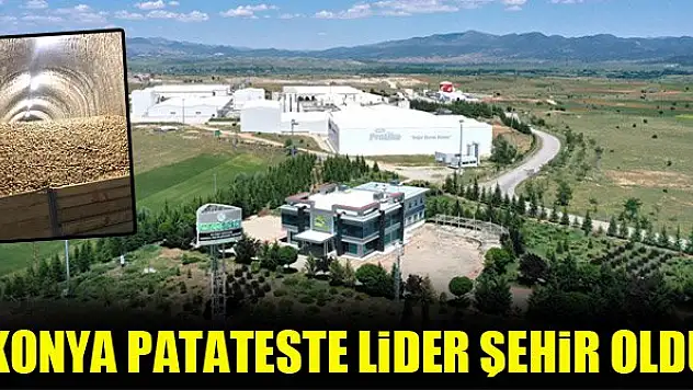 Konya patateste lider şehir oldu