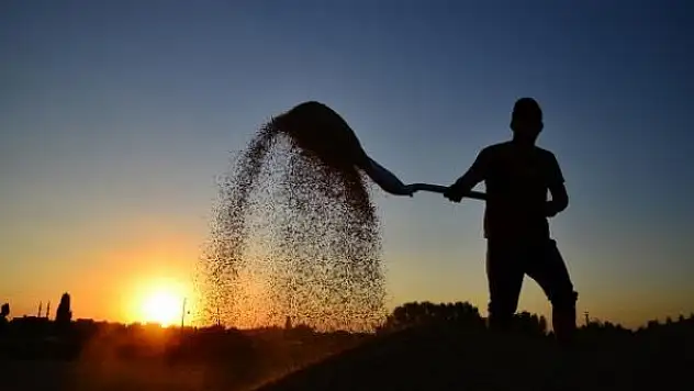 Çiftçiye destek ödemeleri başlıyor