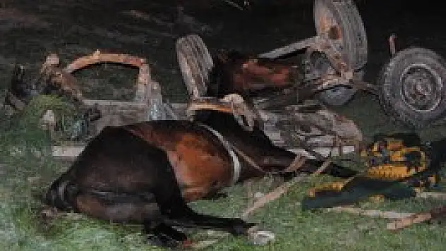 Konya'da kamyonet at arabasına çarptı: 3 yaralı