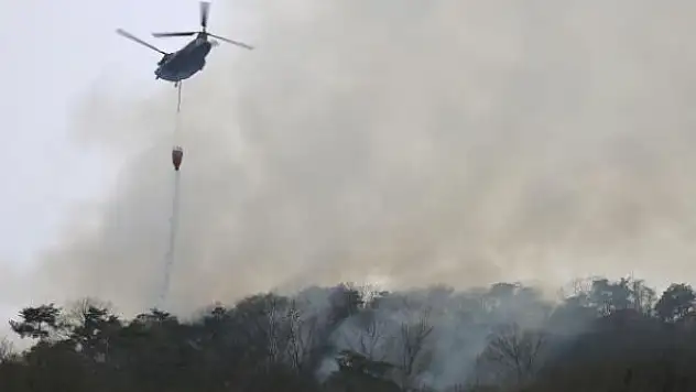Japonya'da 21 Şubat'tan beri süren yangında 106 hektarlık ormanlık alan zarar gördü