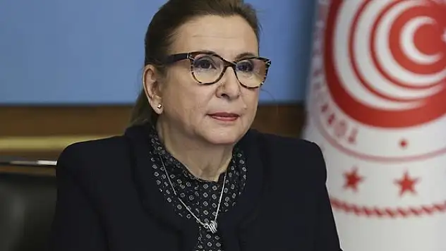 Bakan Pekcan: Kadına şiddet insanlığa ihanettir