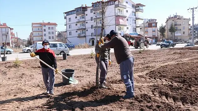 Beyşehir'de ağaçlandırma çalışmaları