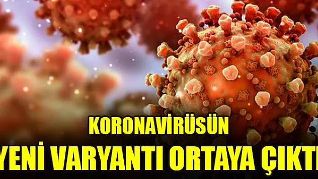 Koronavirüsün yeni varyantı ortaya çıktı