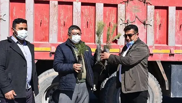 Karapınar'da fidan dağıtımı yapıldı