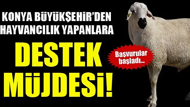 Konya Büyükşehir Belediyesi'nden hayvancılık yapanlara destek müjdesi!
