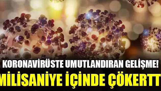 Koronavirüste umutlandıran gelişme! Milisaniye içinde çökertti