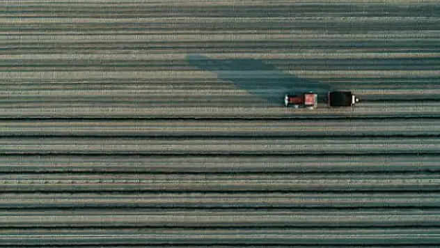 Dünya kuraklık ve salgın sebebiyle gıda stoklarını artırıyor