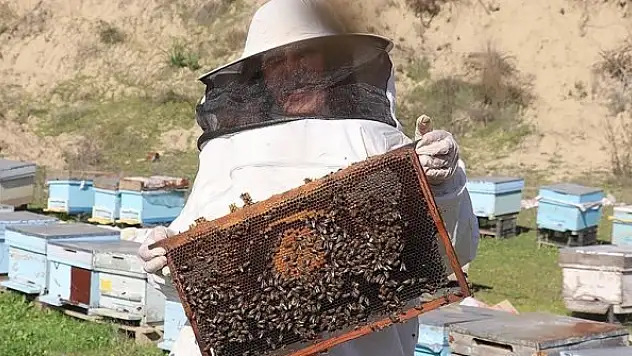 Kocasına destek için başladığı arıcılıkla iki kadına daha istihdam sağladı