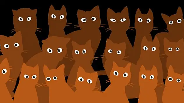 Jüriden sonra yönetmenler de Ankara'dan çekildi