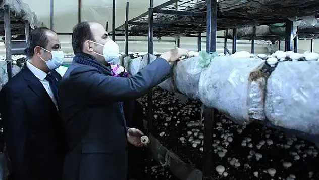 'Akören'i mantarda ve susamda markalaştırmak için çalışıyoruz'