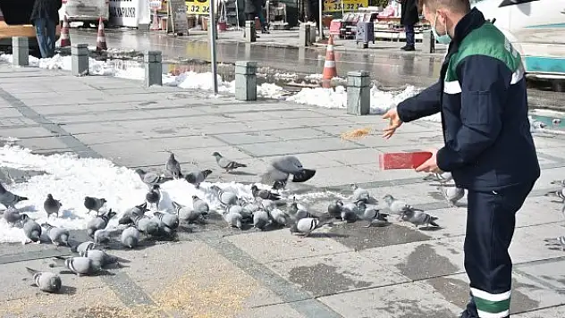 'Sokaktaki canlarımız  bize Allah'ın emaneti'