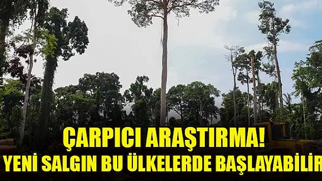 Çarpıcı araştırma! Yeni salgın bu ülkelerde başlayabilir