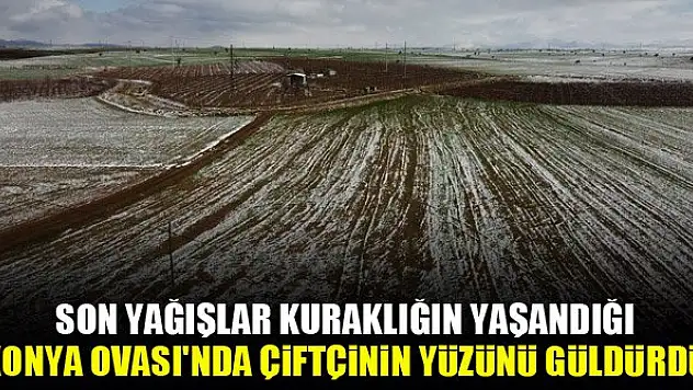 Son yağışlar Konya Ovası'nda yüzleri güldürdü