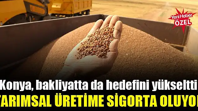 Bakanlık destekliyor Konya çiftçisi üretiyor
